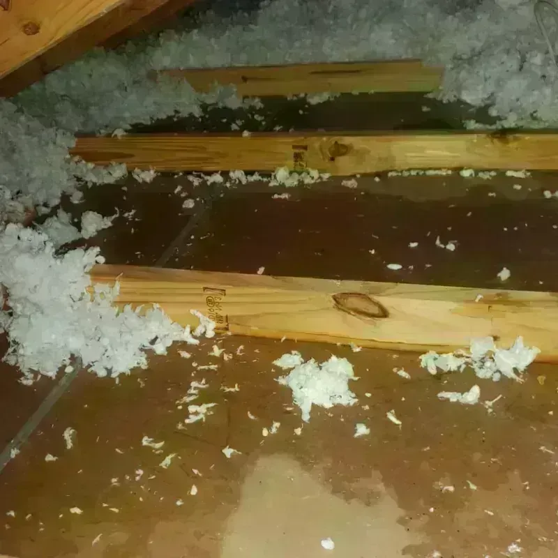 Attic Water Damage in Trego County, KS